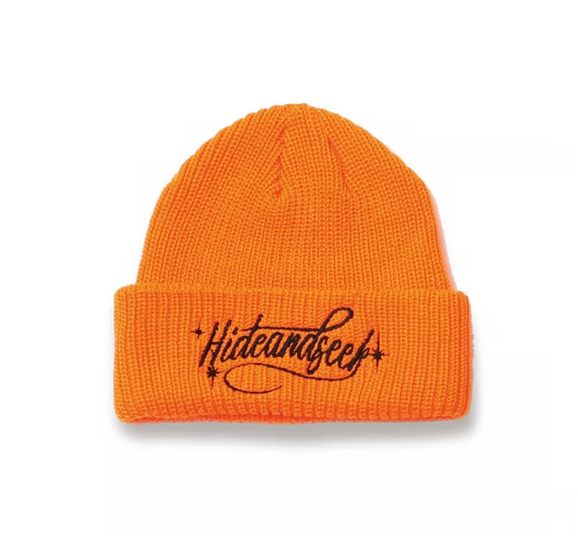 HIDE&SEEK(nChAhV[N) / Cursive Logo Knit Cap