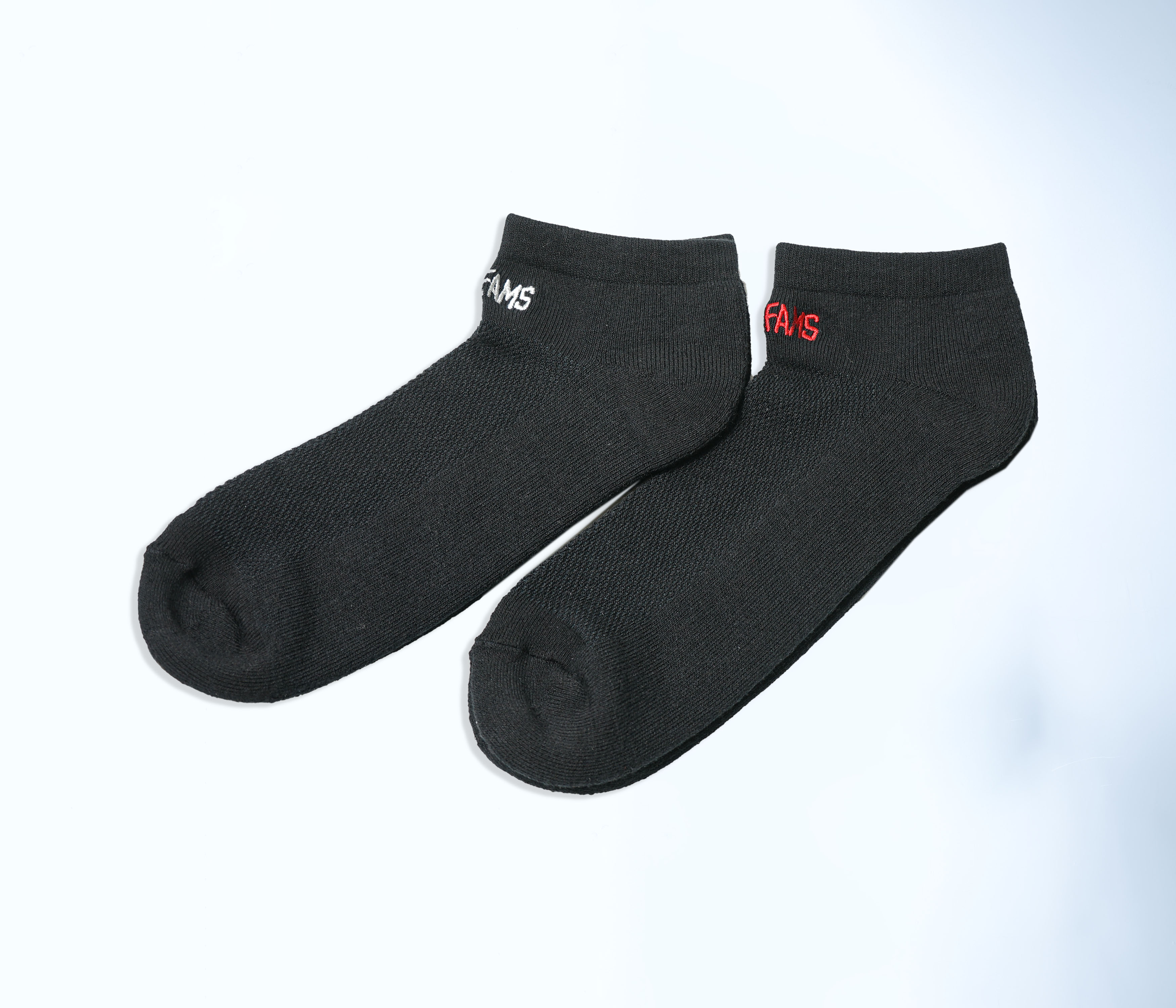 ANDFAMILYS(Aht@~[Y) / Sports Mesh Socks 2pc -Low-