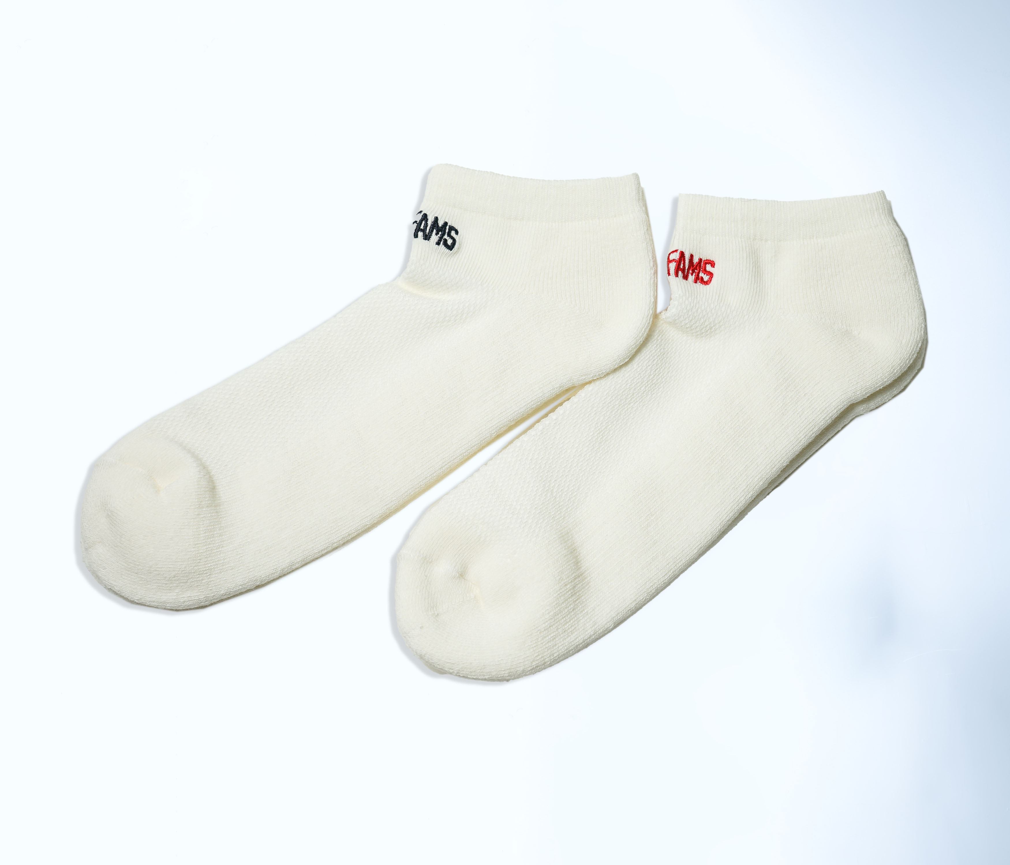 ANDFAMILYS(Aht@~[Y) / Sports Mesh Socks 2pc -Low-