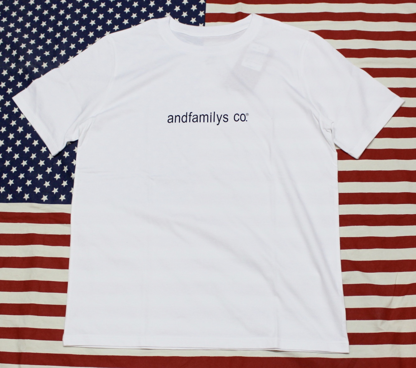 ANDFAMILYS(Aht@~[Y) / Standard Tee "Y Collection"